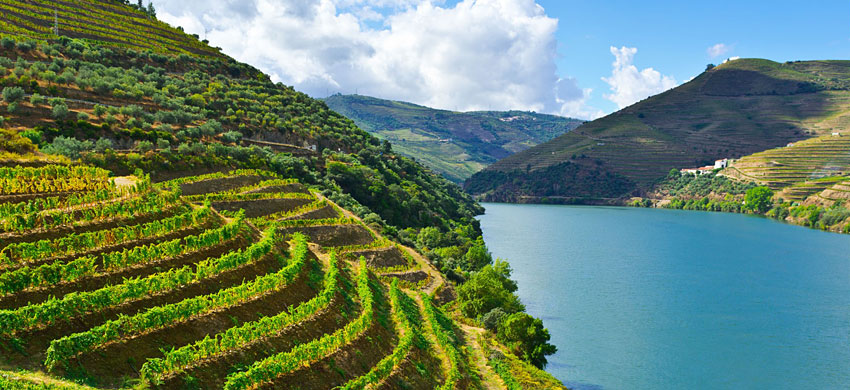 Douro Valley